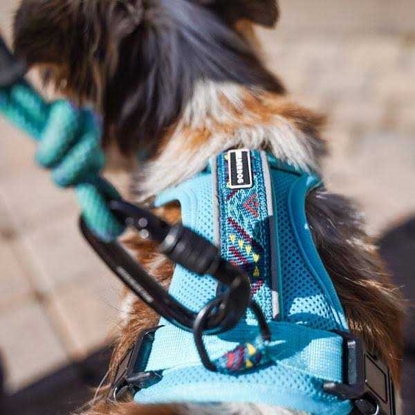 Harness B183