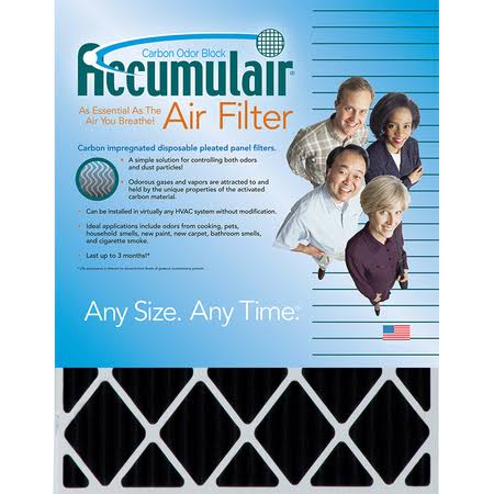 Carbon 19x21x1 MERV 8 Air Filter (4 Pack) N3711