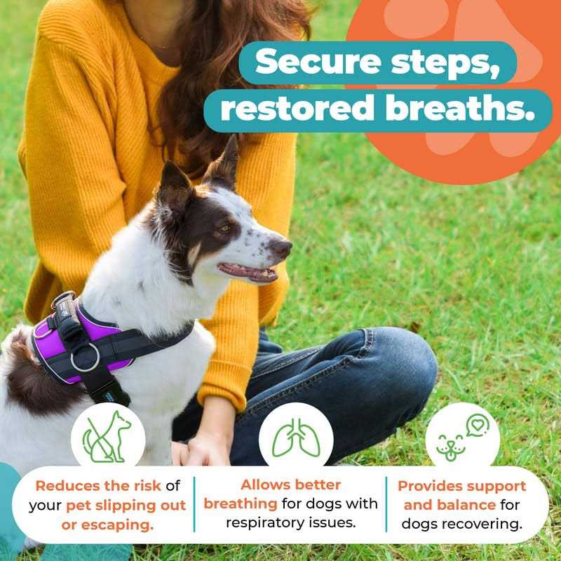 No Pull Easy On-Off Dog Harness M677