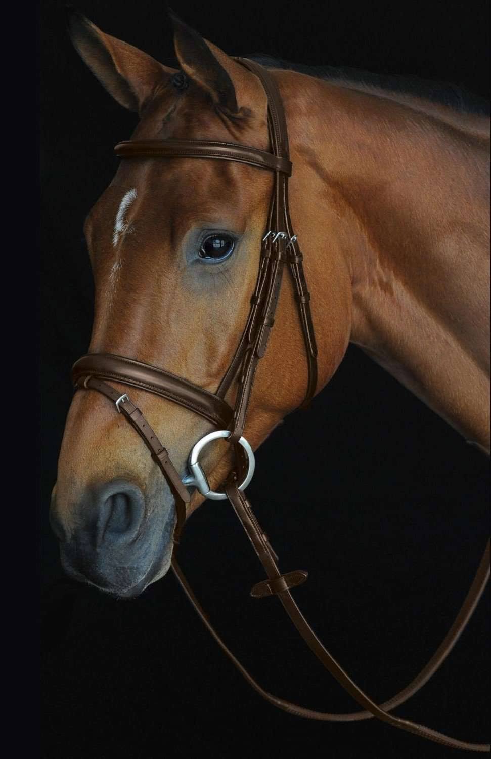 Black Padded Raised Flash Bridle D868