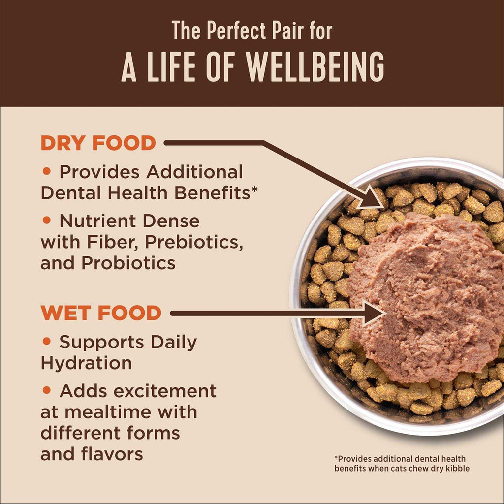 Digestive Health Pate Recipe Wet Cat Food C48319