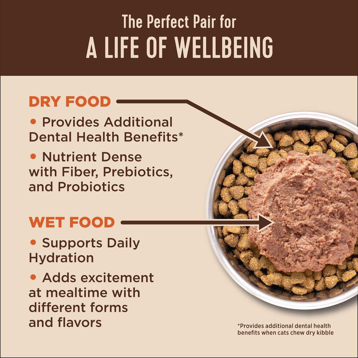 Digestive Health Pate Recipe Wet Cat Food C48319