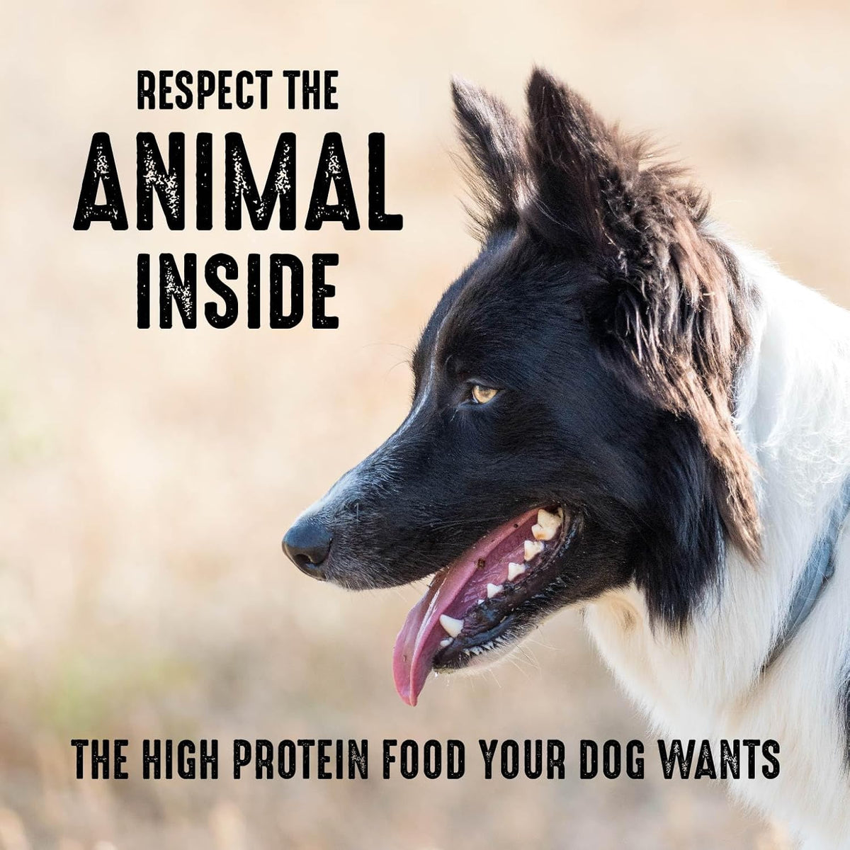 4 lb. Bag (Pack of 2) Grain Free Dry Dog Food M4862
