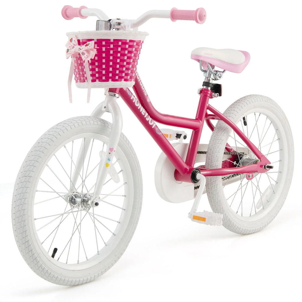 18'' Kids Bike with Training Wheels Z8500