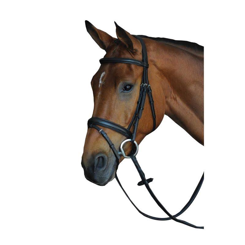 Black Padded Raised Flash Bridle D868