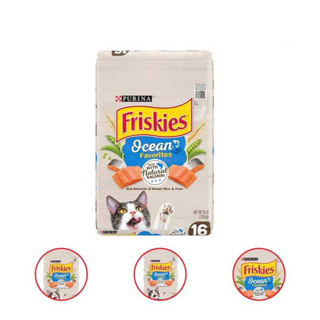Dry Cat Food With Natural Salmon H1649