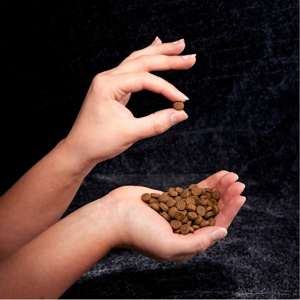 4 lb. Bag (Pack of 2) Grain Free Dry Dog Food M4862
