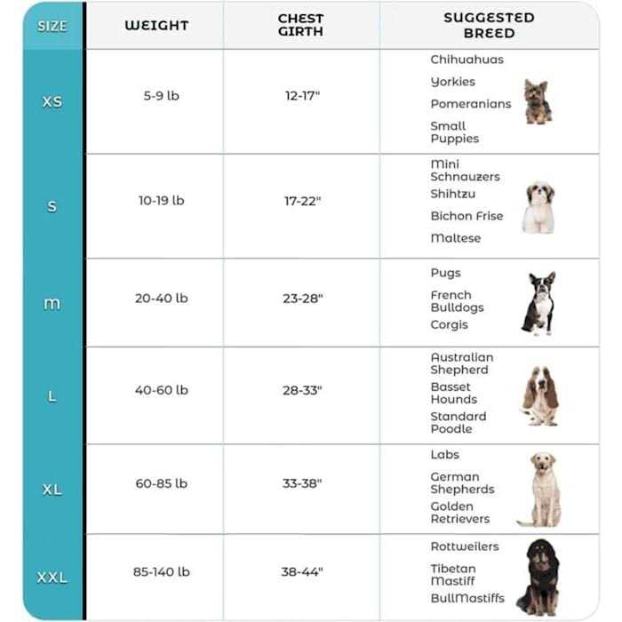 No Pull Easy On-Off Dog Harness M677