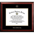 Gold Embossed Diploma Frame N429479