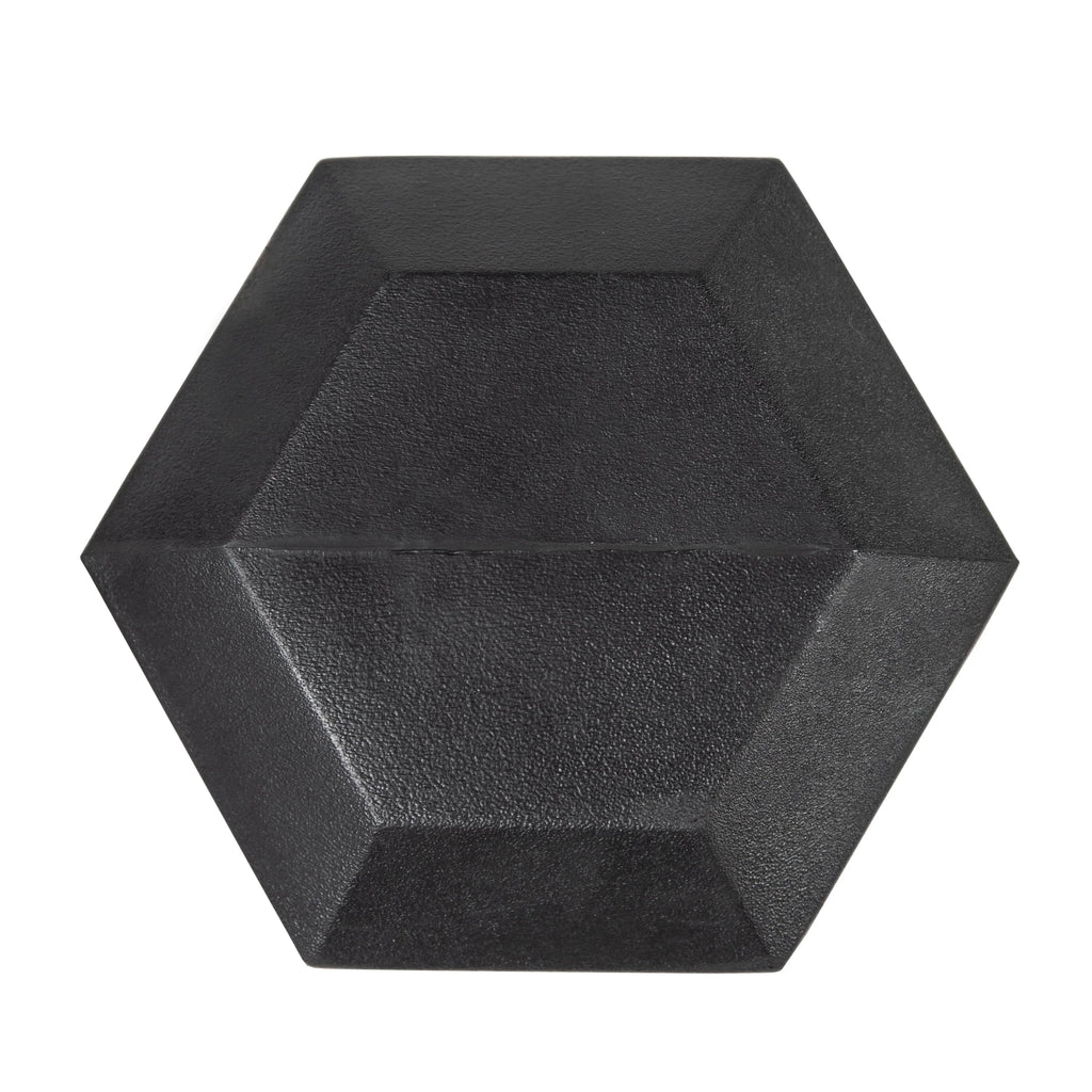 70lb Coated Hex Dumbbell B87634