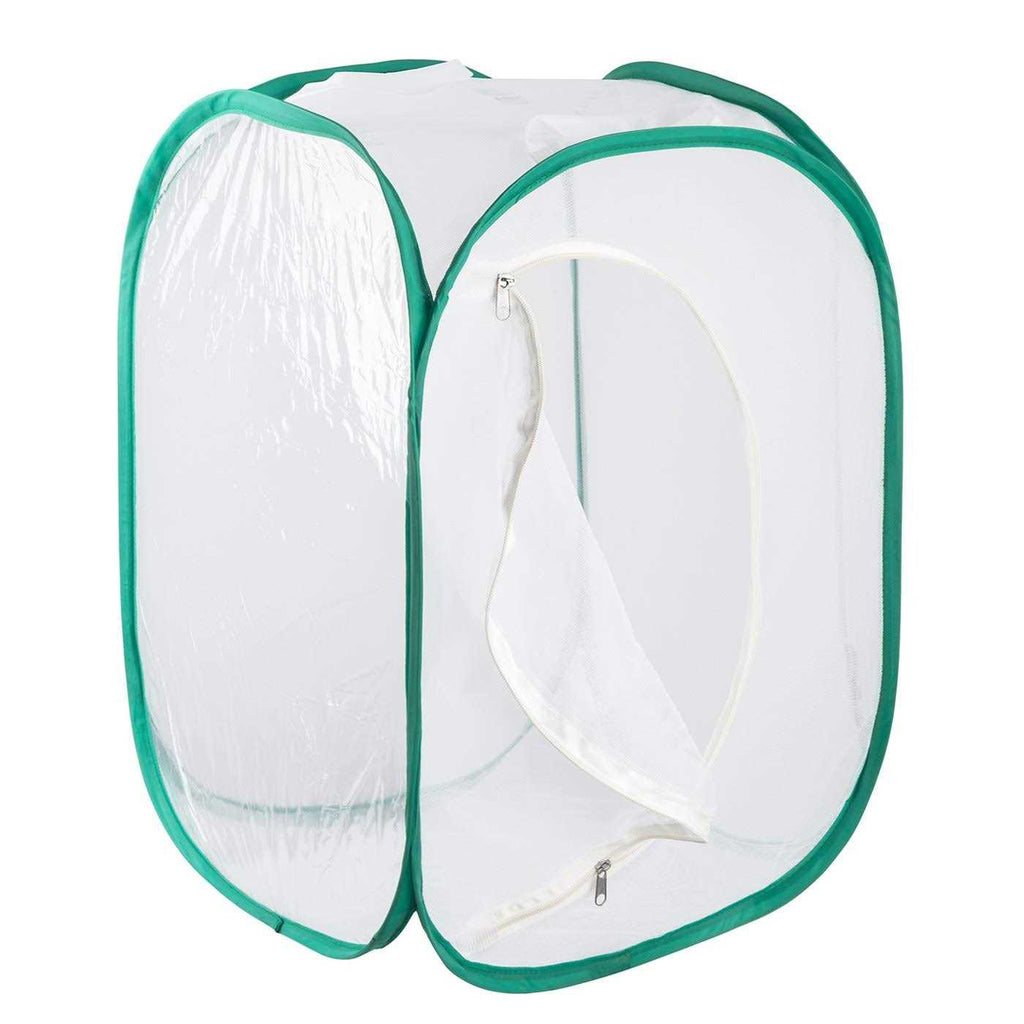 Insect and Butterfly Habitat Terrarium N595