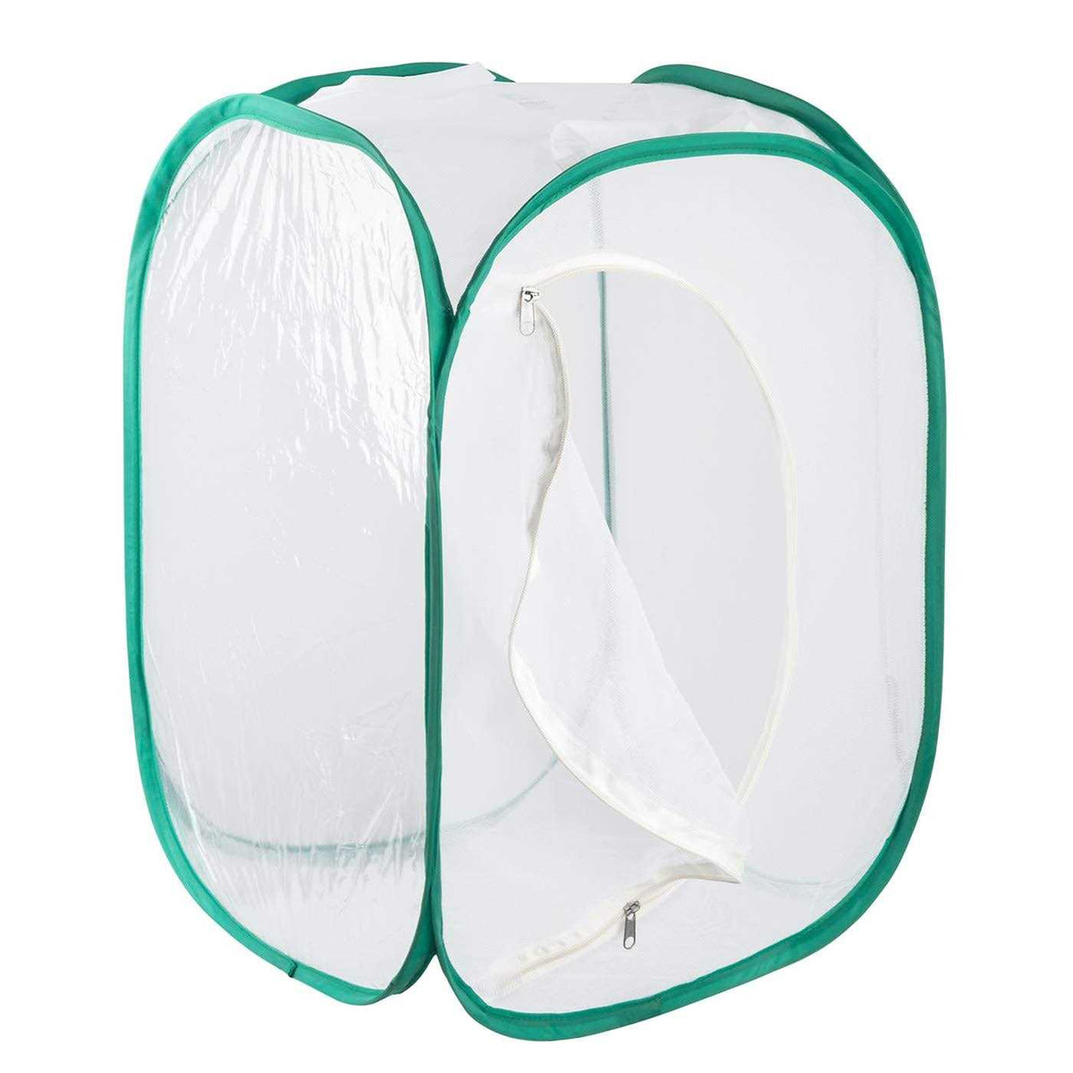 Insect and Butterfly Habitat Terrarium N595