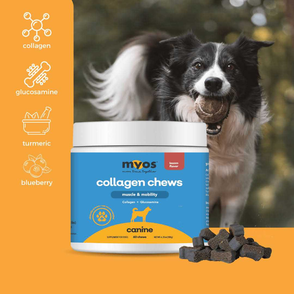 Collagen Chew for Dogs T422