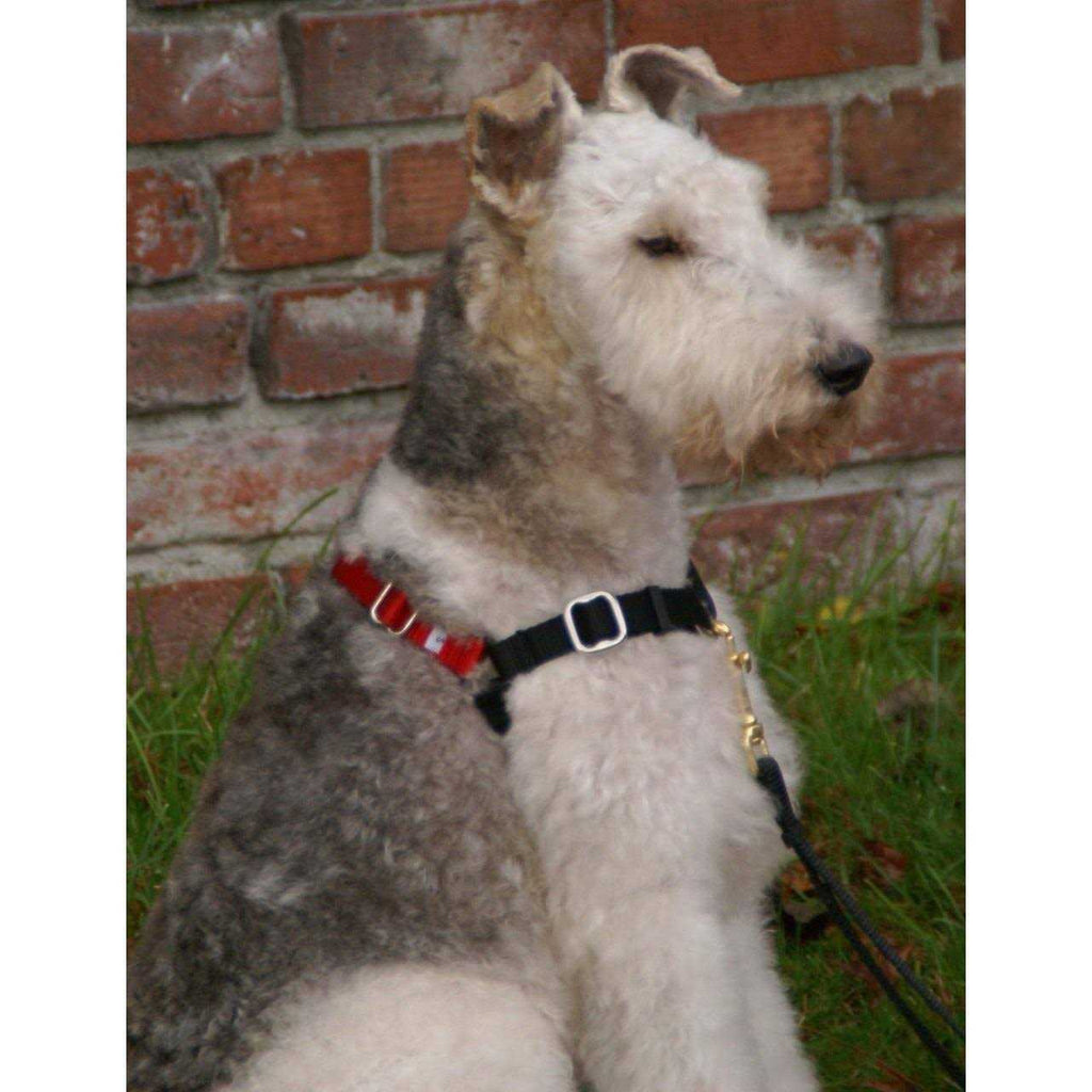Dog Harness T9571