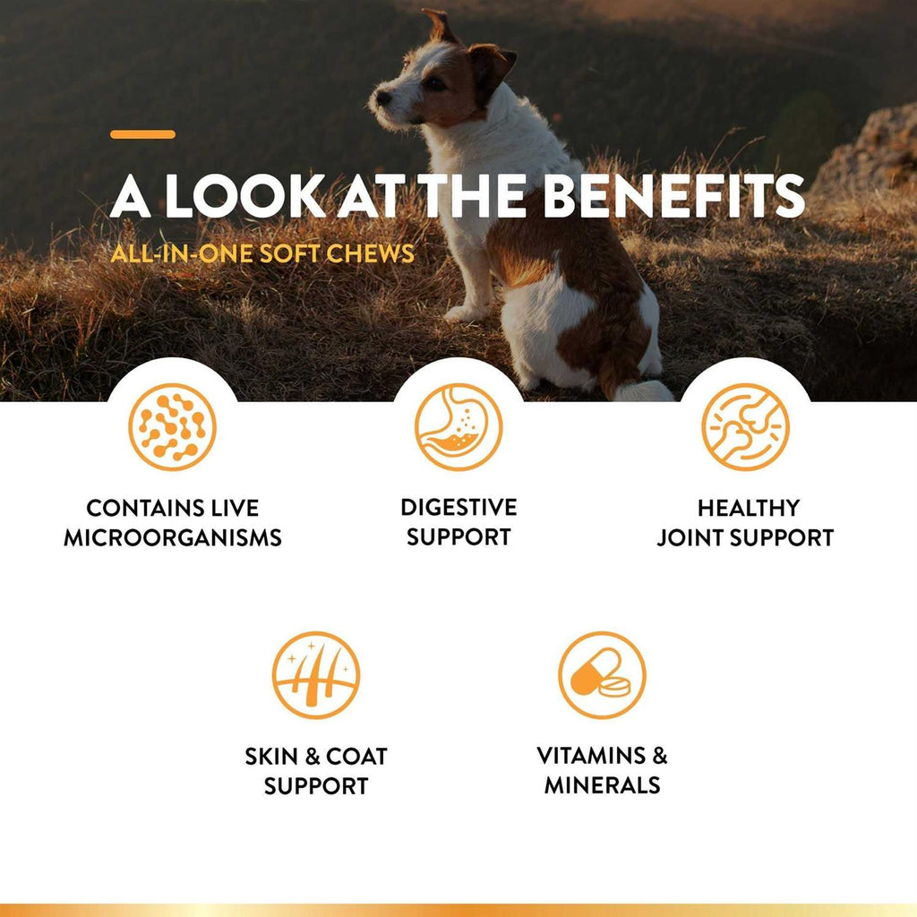 All-In-One for Dogs K3062