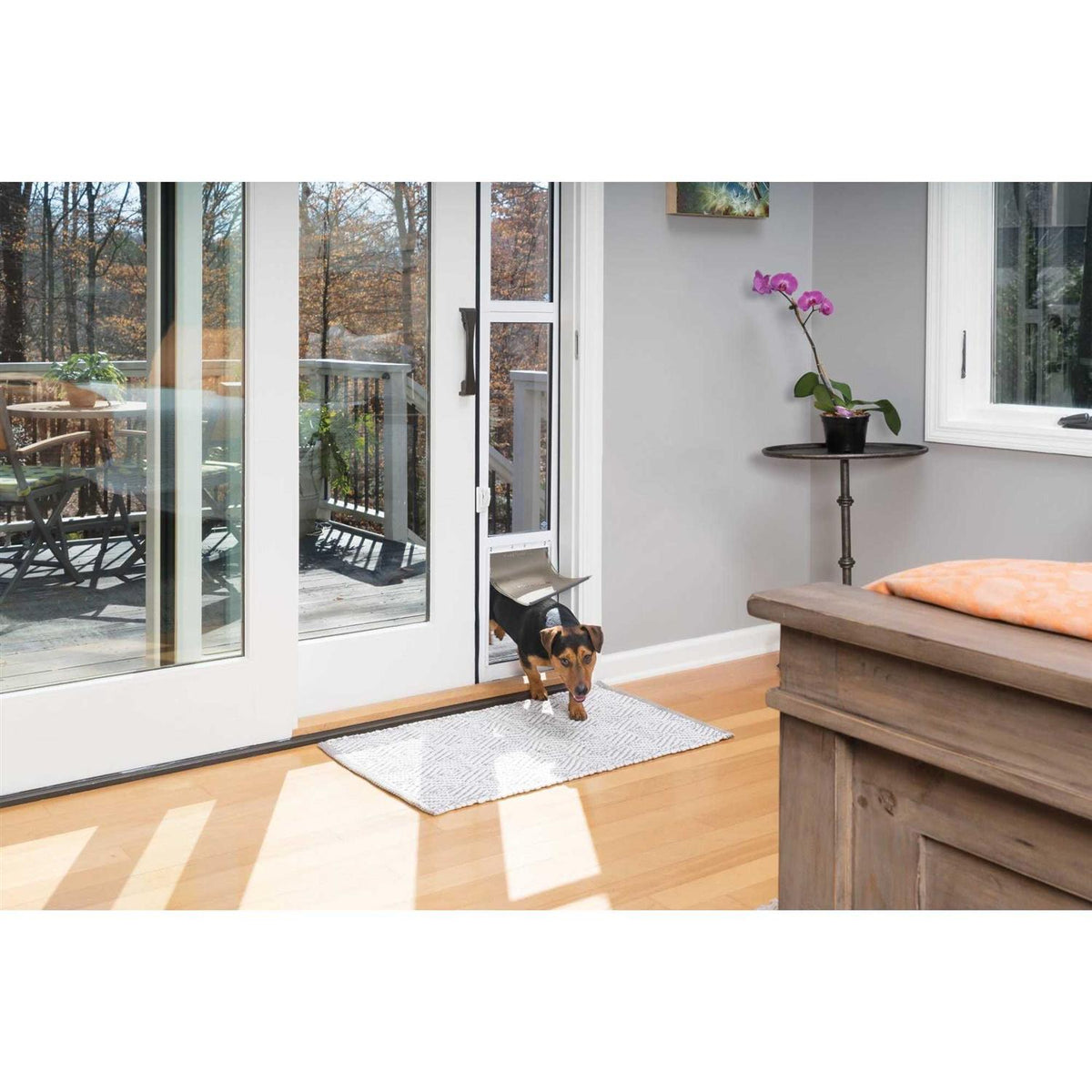 Sliding Glass Pet Door P71873
