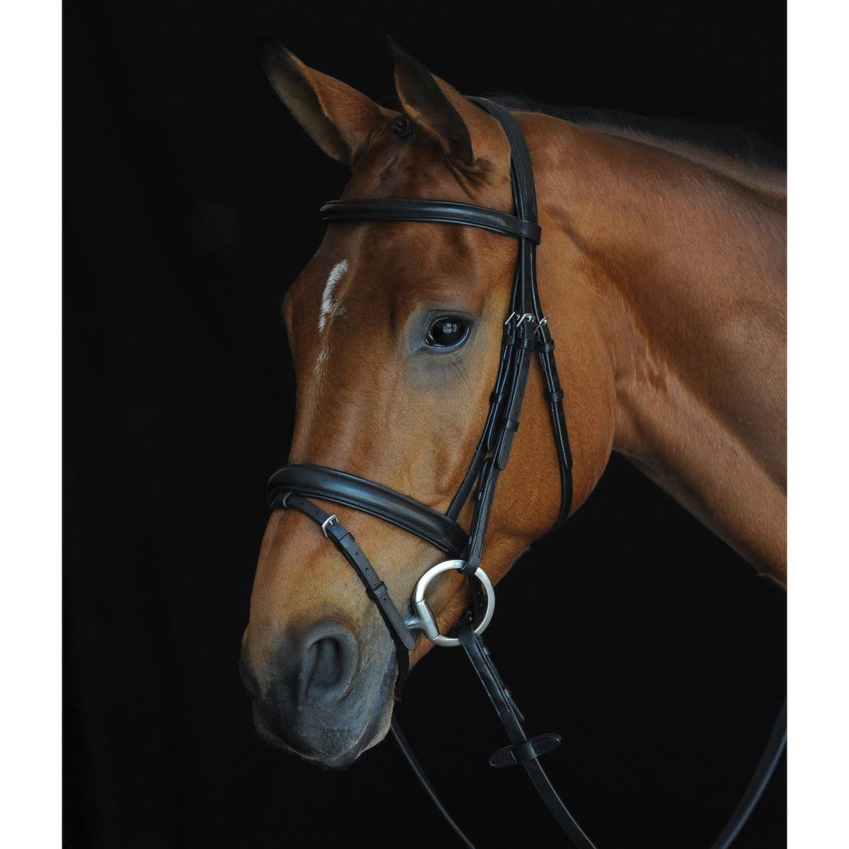 Black Padded Raised Flash Bridle D868