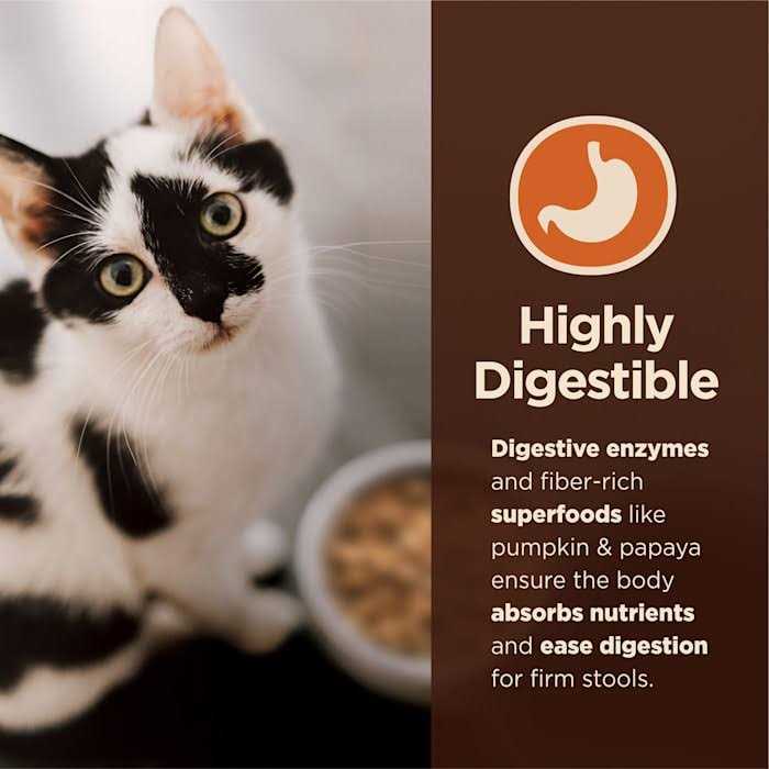 Digestive Health Pate Recipe Wet Cat Food C48319