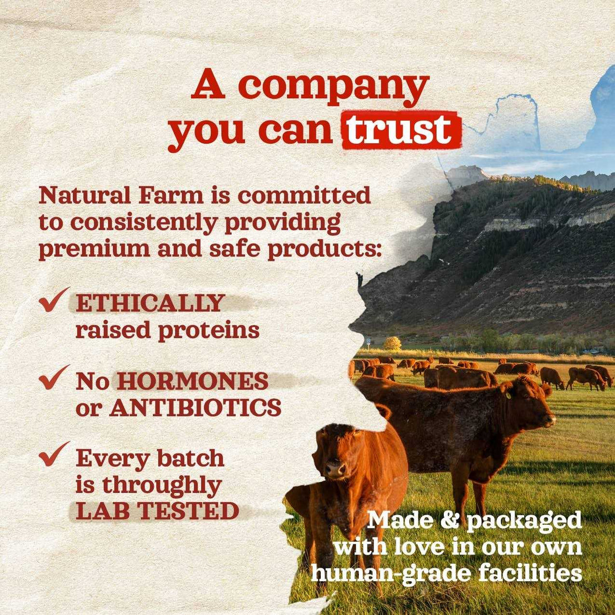 Natural Farm Bully Sticks Odor Free Y1481