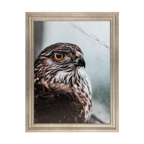 Muted Prosecco Gold Picture Frame O332