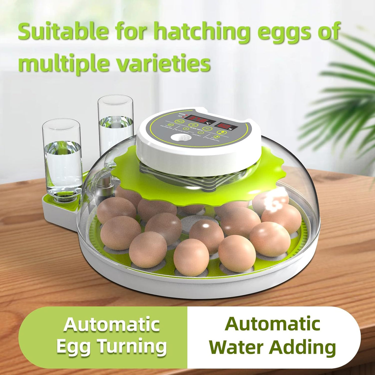 18 Egg Incubator with Automatic Egg Turning and Humidity Control W845