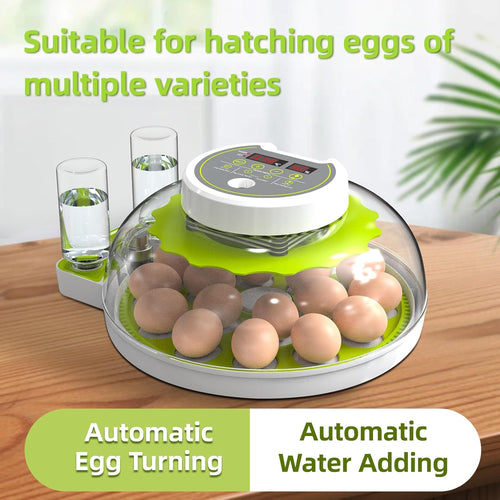 18 Egg Incubator with Automatic Egg Turning and Humidity Control W845