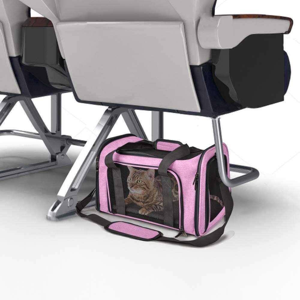 Cat Carrier for Small Medium Cats Puppies up to 15 Lbs J87354