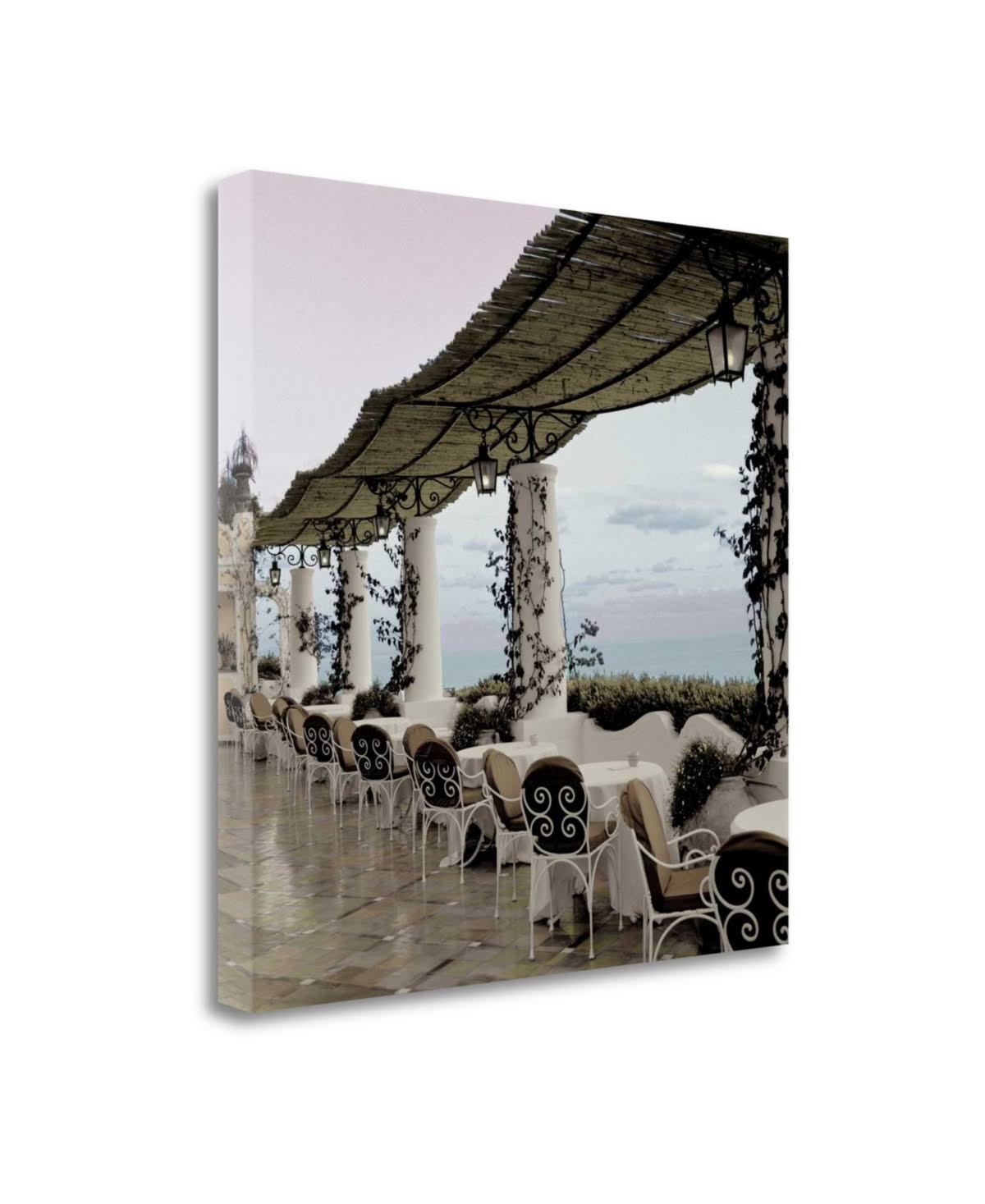 Fine Art Giclee Print D828145