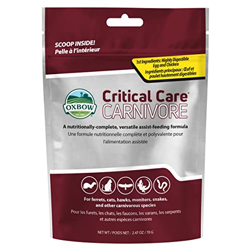 70 Gram Bag Carnivore Animal Food K5134