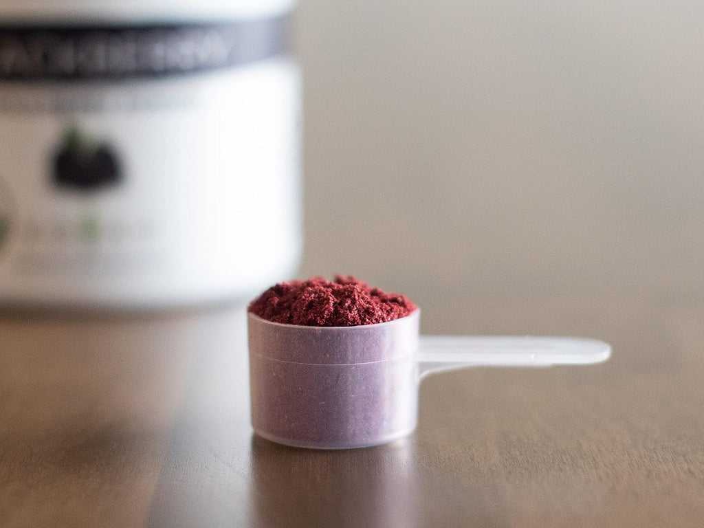 Organic Blackberry Powder F9258