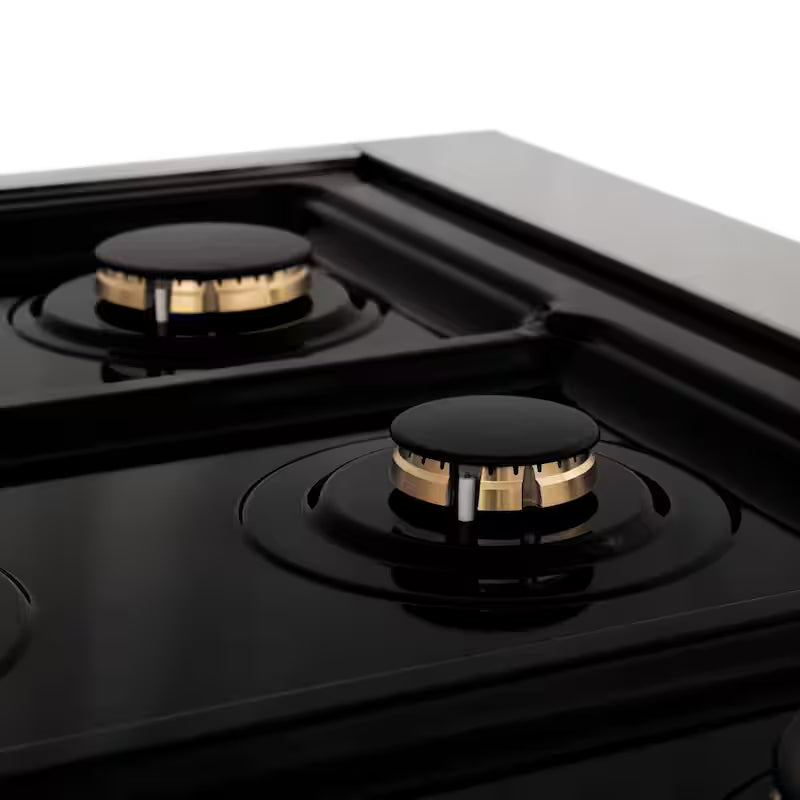 6-Burner Dual Fuel Range with Black Matte Door in Stainless Steel and Polished Gold T3541