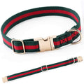Adjustable Dog Collar with Metal Buckle I56757