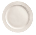 Bright White Dinner Plate Z136