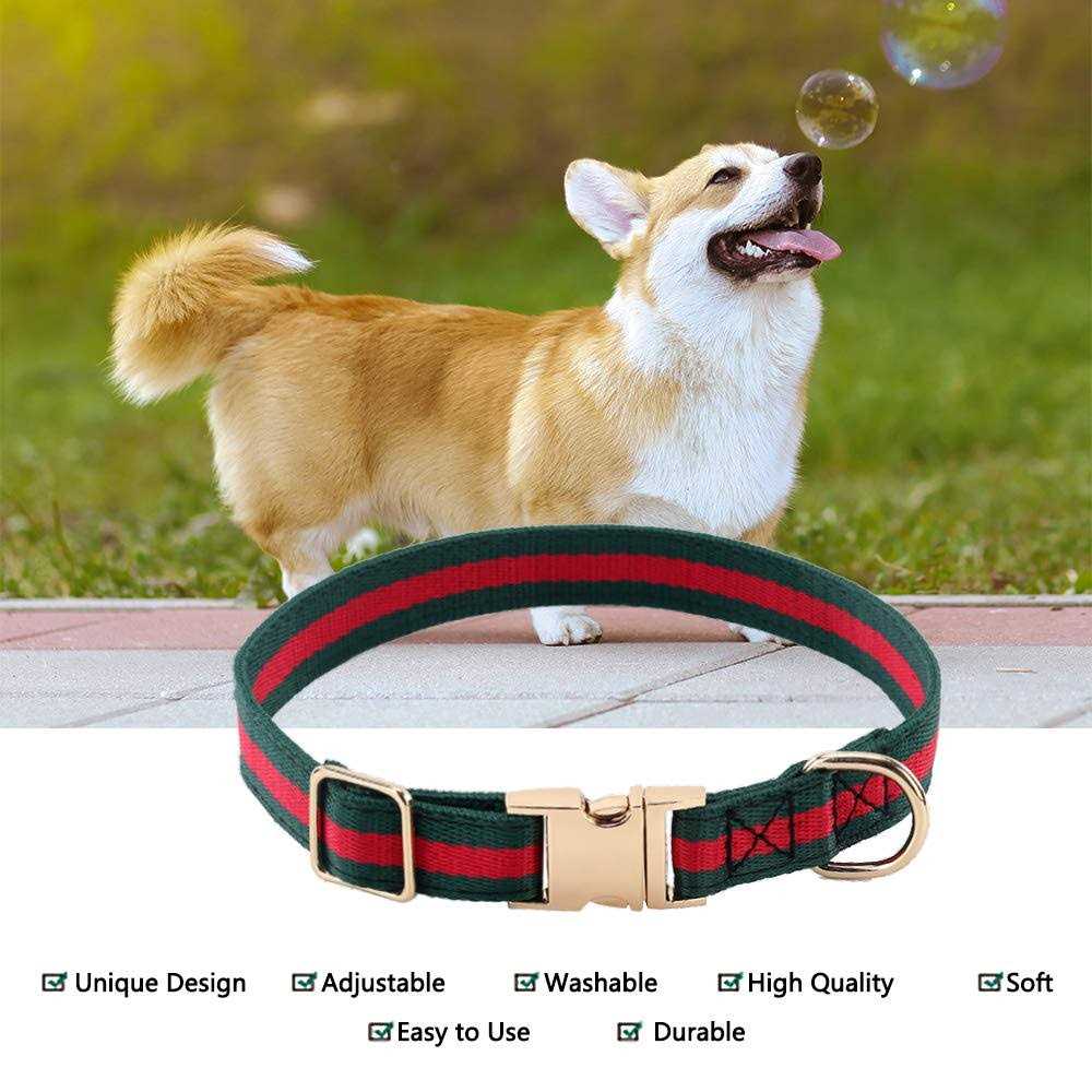 Adjustable Dog Collar with Metal Buckle I56757