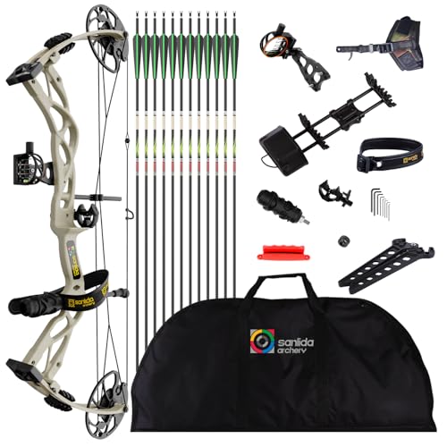 Compound Bow and Arrow Set, 0-70 Lbs Draw Weight L742