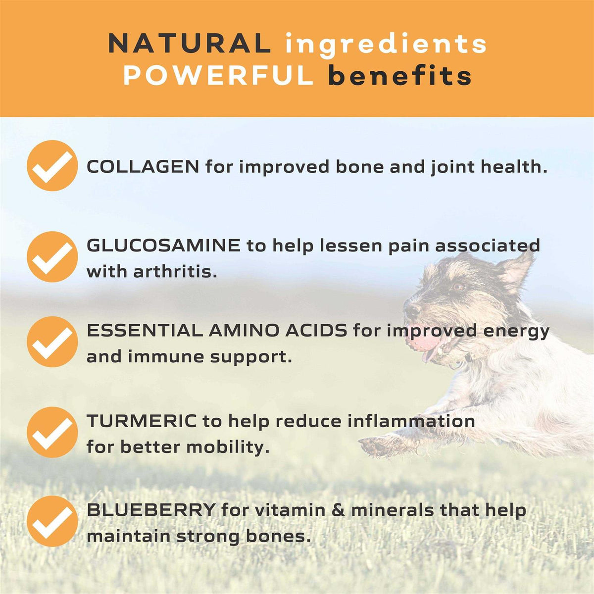 Collagen Chew for Dogs T422