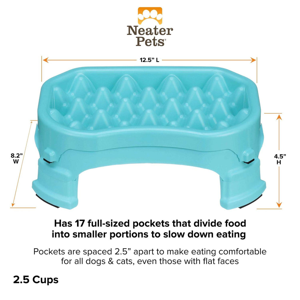Raised Slow Feeder Dog Bowl R995287