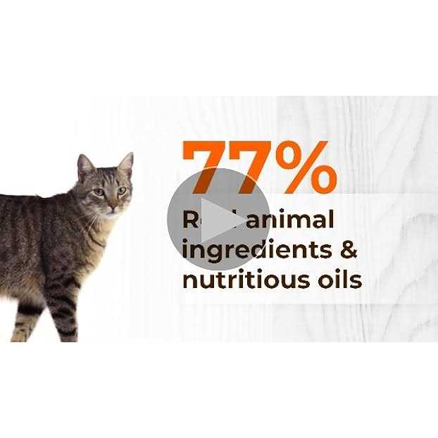Grain Free Dry Cat Food E3179