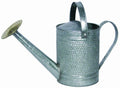 Galv Water Can F662107