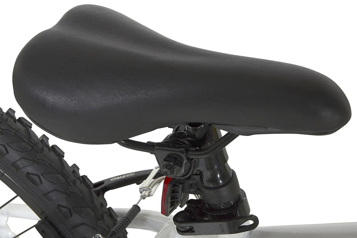 20-Inch Boys BMX Bike V8855