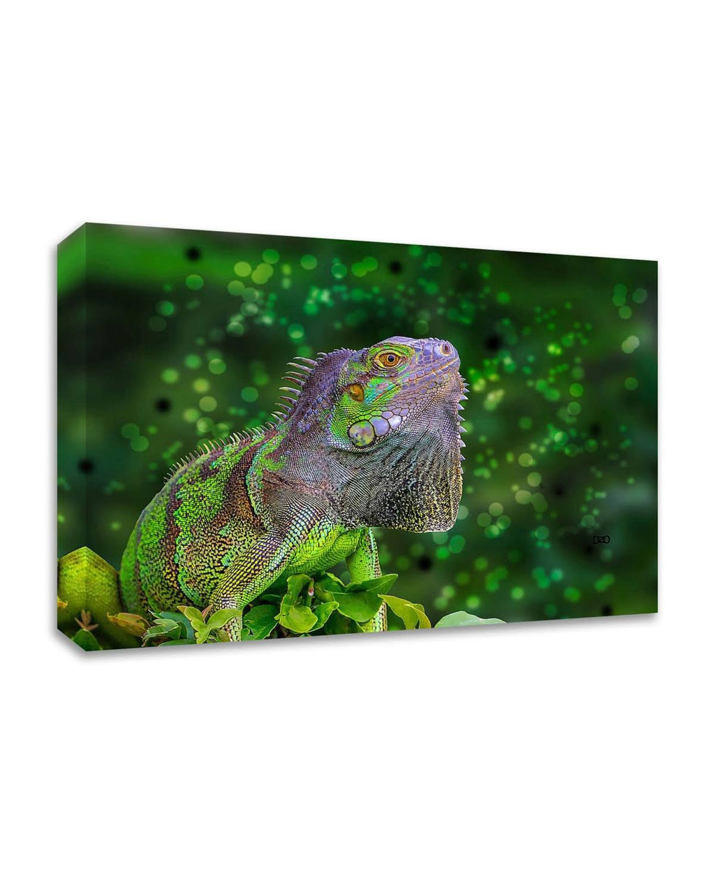 Green Iguana Print on Canvas J427958