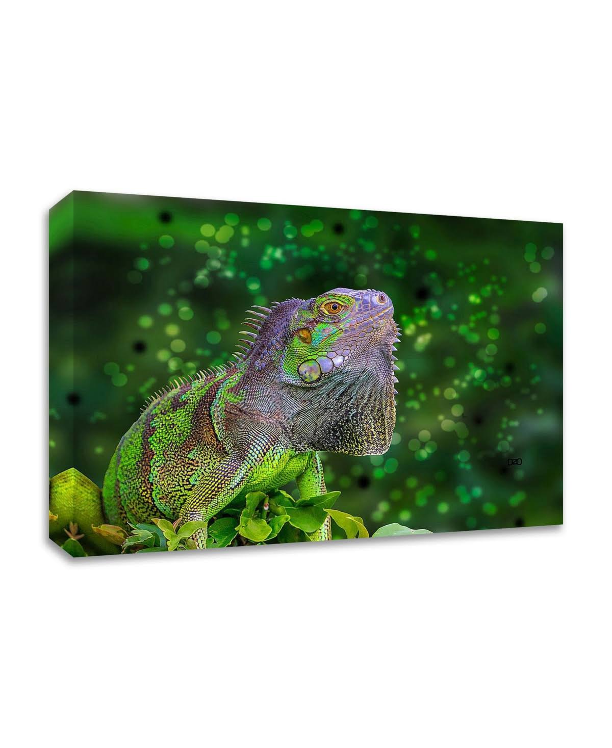 Green Iguana Print on Canvas J427958