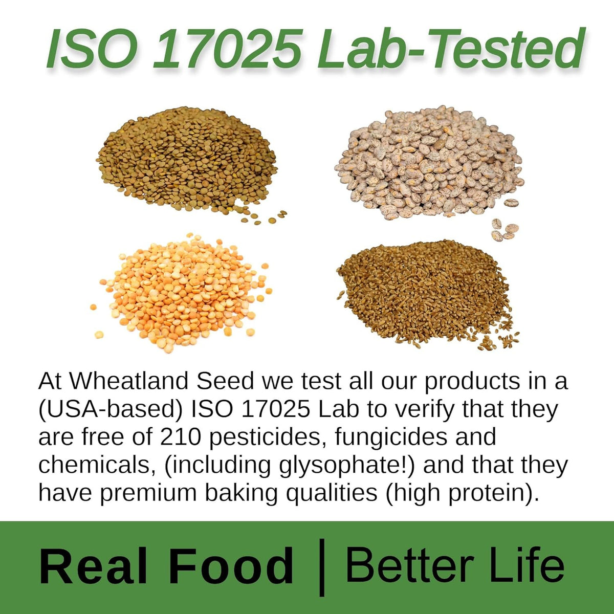 Hard White Wheat Berries 100 lbs N845