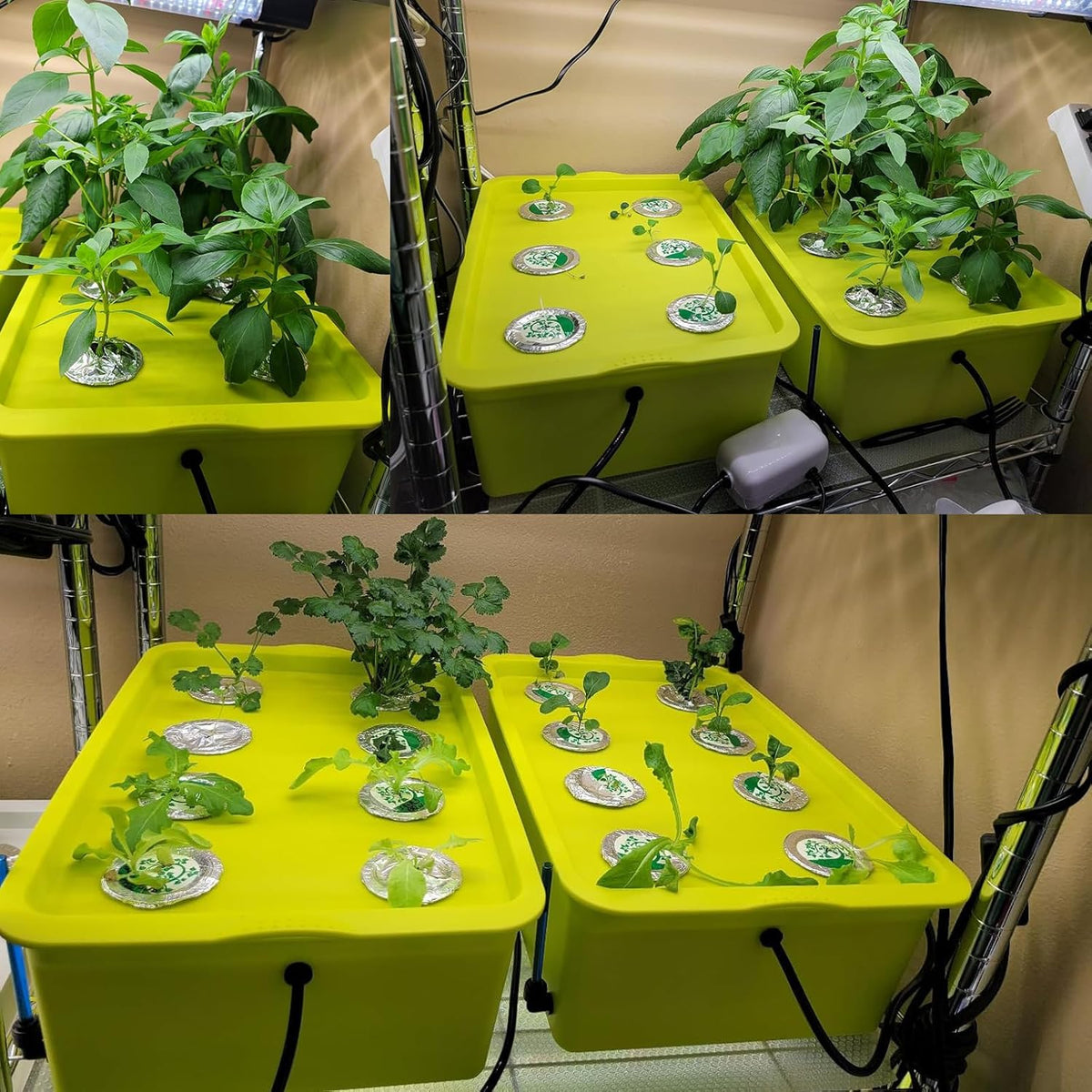 Medium Size 6 Plant Sites Hydroponic System Growing Kit with Air Pump E57572
