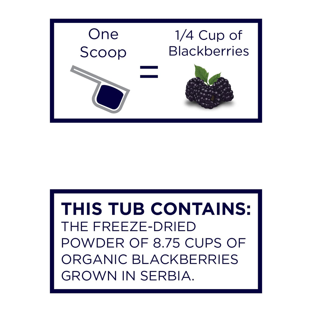 Organic Blackberry Powder F9258