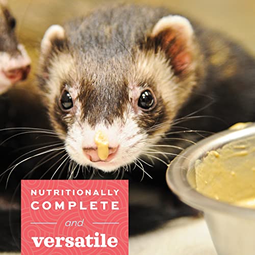 70 Gram Bag Carnivore Animal Food K5134