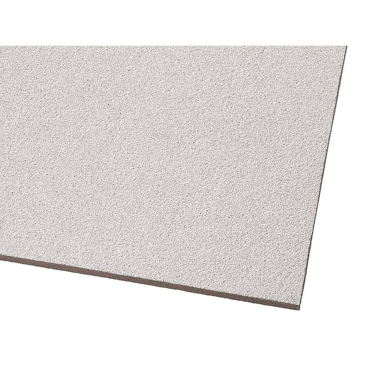 24x48x5/8 in. Acoustical Ceiling Panel E385