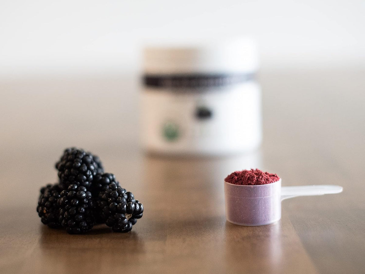 Organic Blackberry Powder F9258