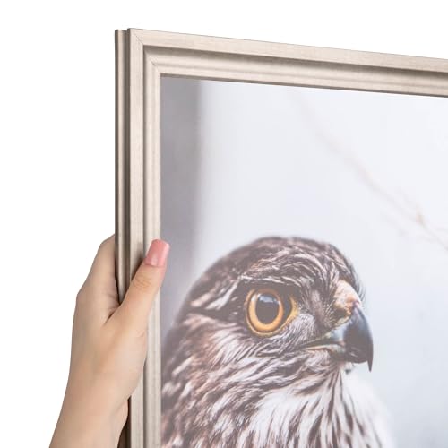 Muted Prosecco Gold Picture Frame O332
