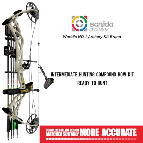 Compound Bow and Arrow Set, 0-70 Lbs Draw Weight L742